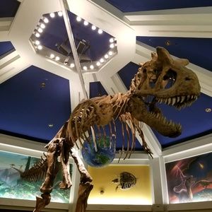 Meet your Posher, Jonathan